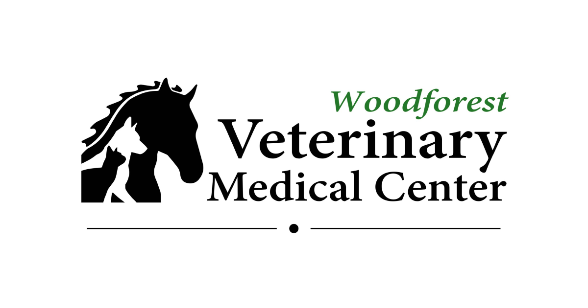 HighQuality Vet Hospital in Montgomery, TX Woodforest Animal Hospital